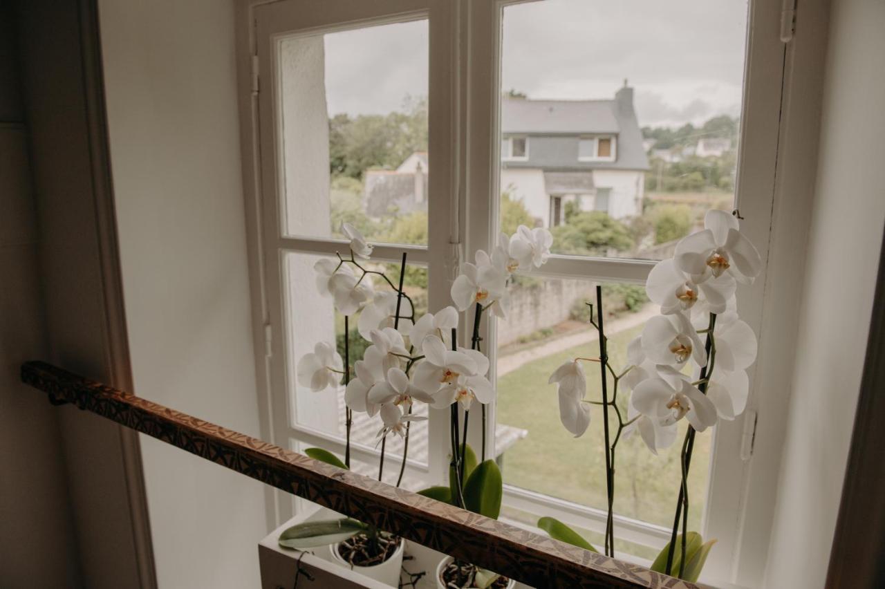Bed and Breakfast Le Banellou à Quimper Extérieur photo