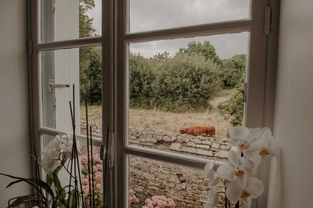 Bed and Breakfast Le Banellou à Quimper Extérieur photo