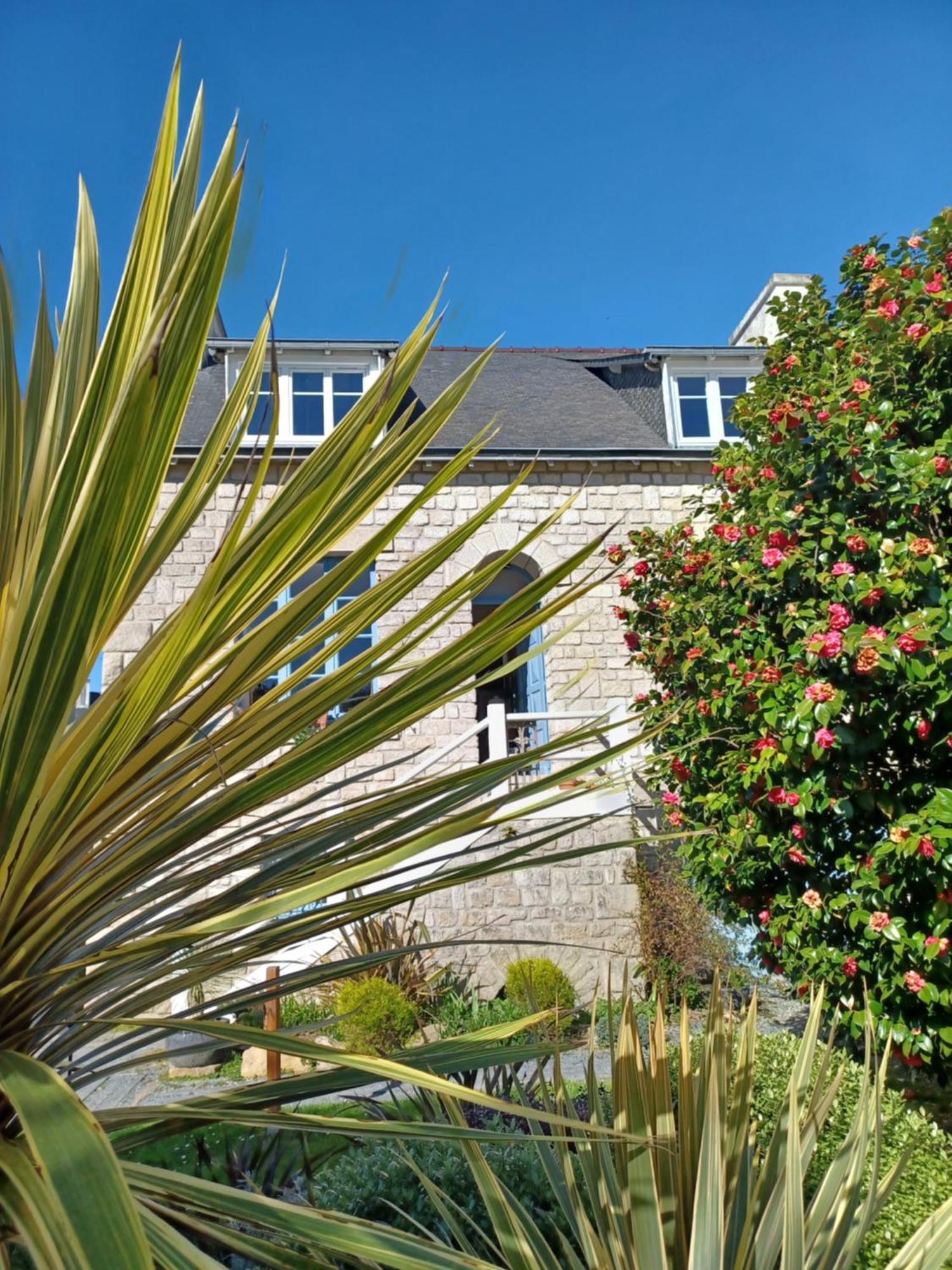 Bed and Breakfast Le Banellou à Quimper Extérieur photo