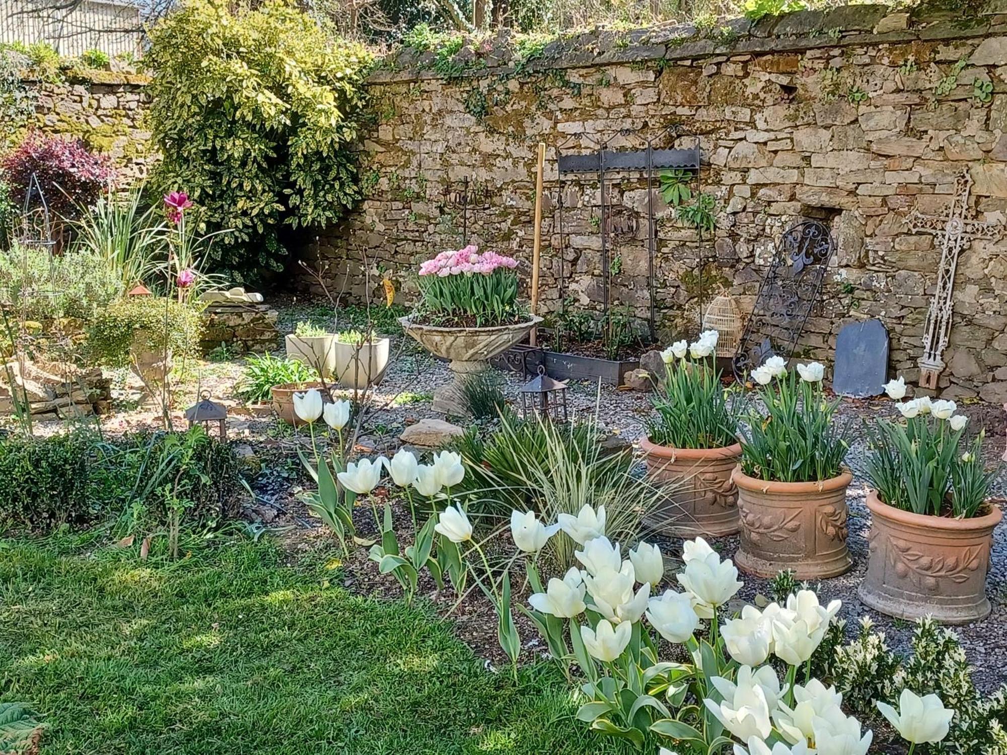 Bed and Breakfast Le Banellou à Quimper Extérieur photo