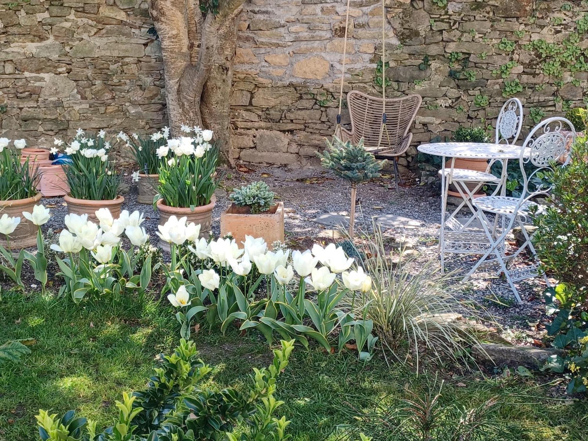 Bed and Breakfast Le Banellou à Quimper Extérieur photo
