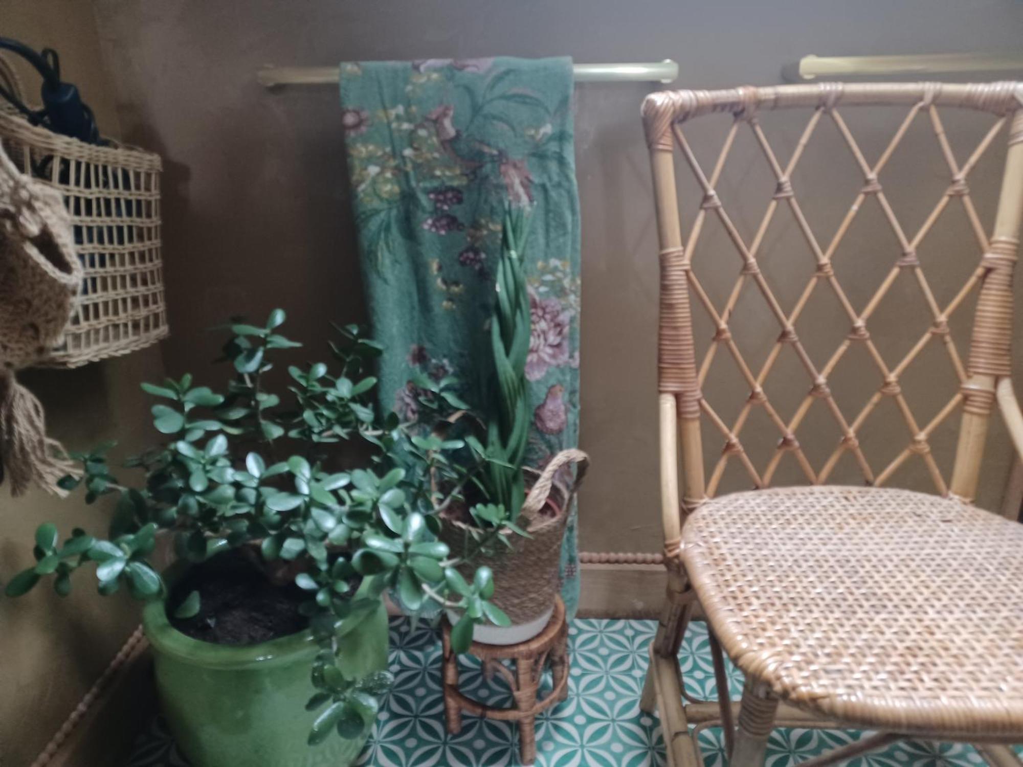 Bed and Breakfast Le Banellou à Quimper Extérieur photo